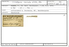 Karteikarte zum Belegmaterial von Cristellaria navicula d'Orbigny, 1840